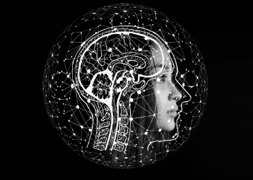 Die Vorteile von Neurofeedback