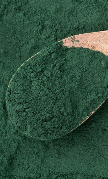500_88716_bn-de-365-x-600-px-2.png