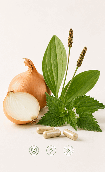 510_23664_staminalis-ingredients-oignon-plantain-ortie-365x600.png